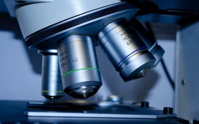 Ivóvizek mikroszkópos vizsgálata